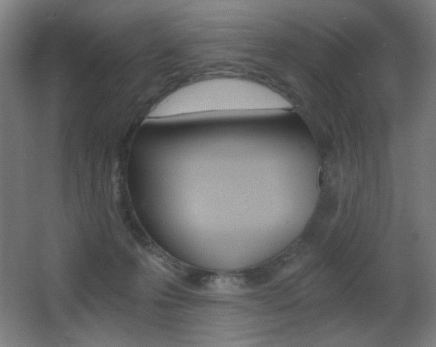 X0000068260223200604210923