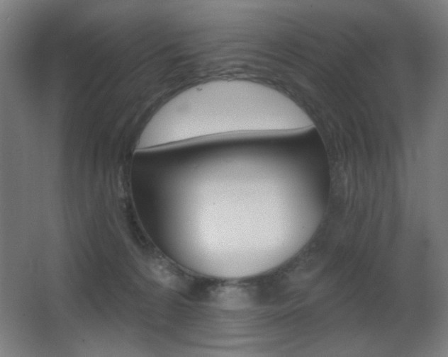 X0000068260224200604210923