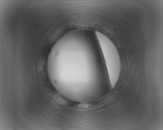 X0000068260225200604210922