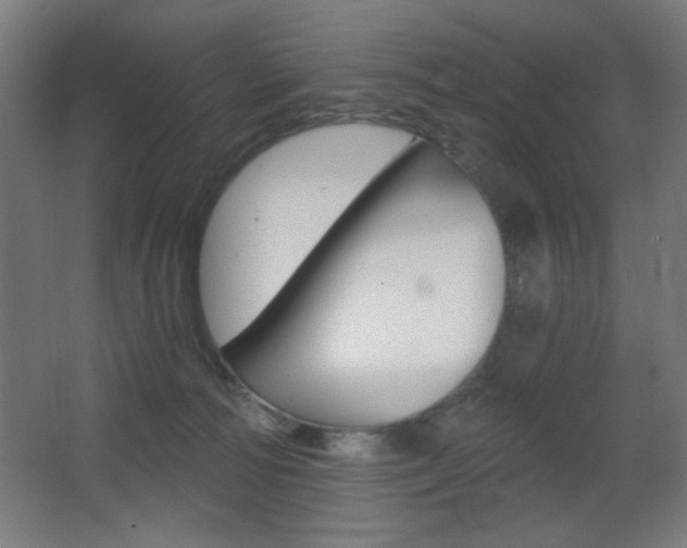 X0000068260226200604210922