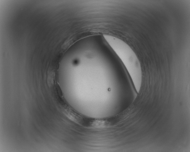 X0000068260227200604210922