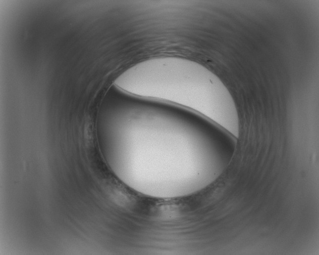 X0000068260228200604210922