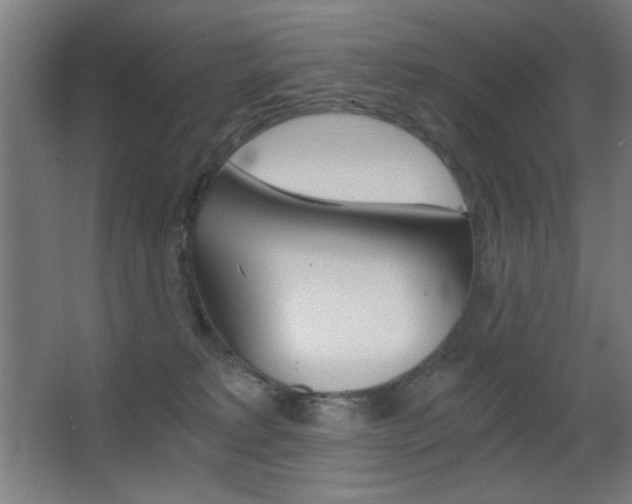 X0000068260229200604210922