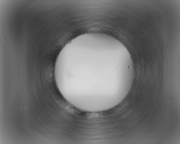 X0000068260230200604210922