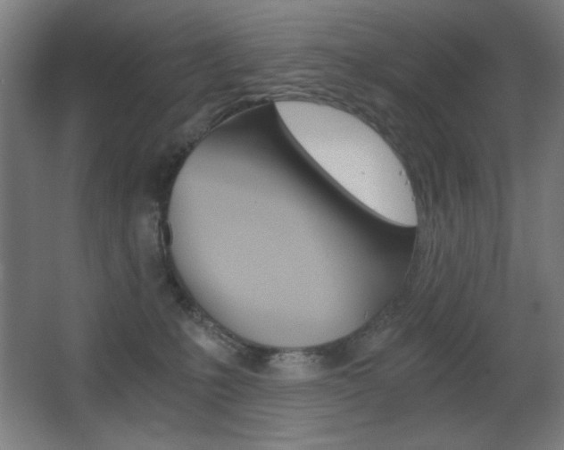 X0000068260231200604210922