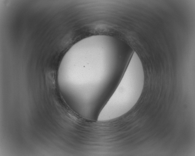 X0000068260232200604210922