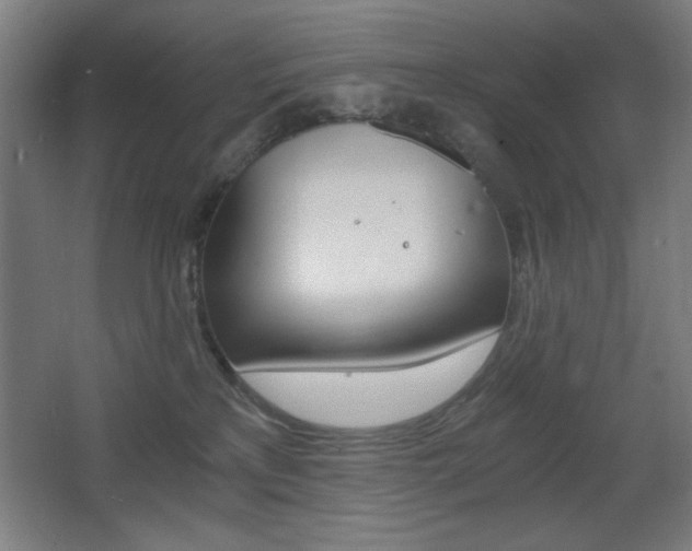 X0000068260233200604210922