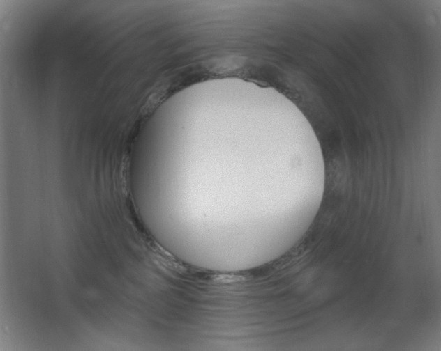 X0000068260234200604210922