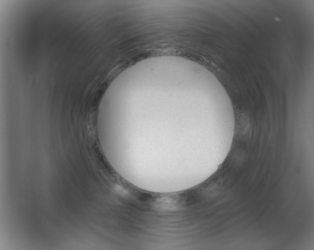 X0000068260236200604210922