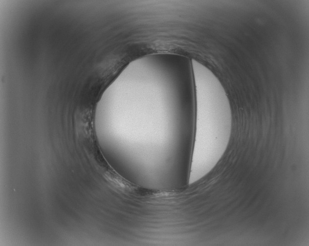 X0000068260237200604210922