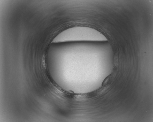 X0000068260238200604210922