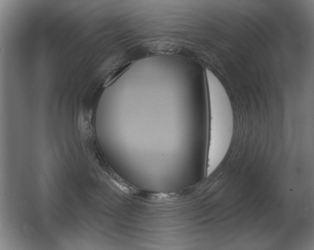 X0000068260239200604210922