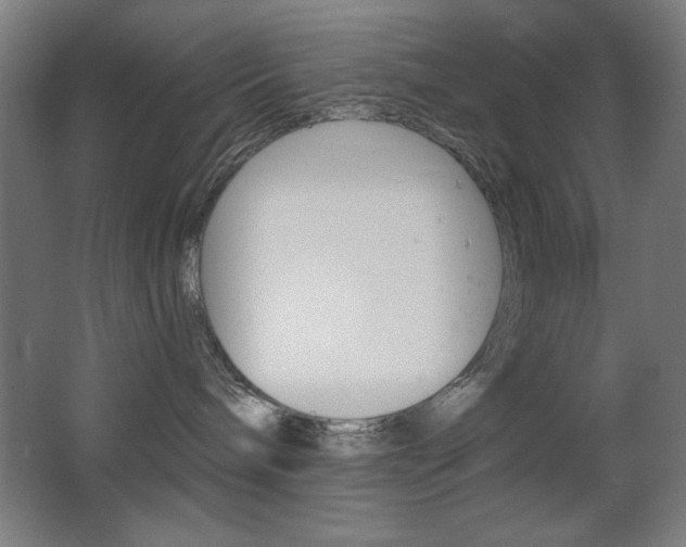 X0000068260240200604210922