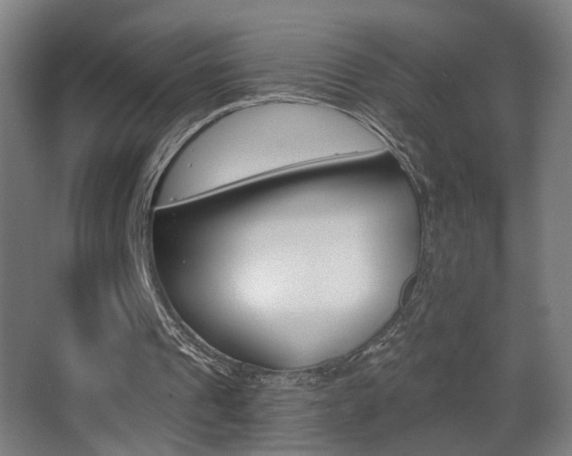 X0000068260241200604210921