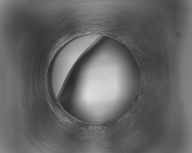 X0000068260242200604210921