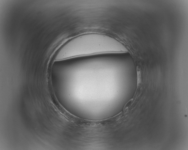 X0000068260243200604210921