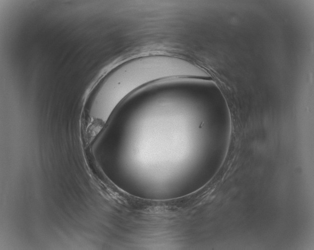 X0000068260244200604210921