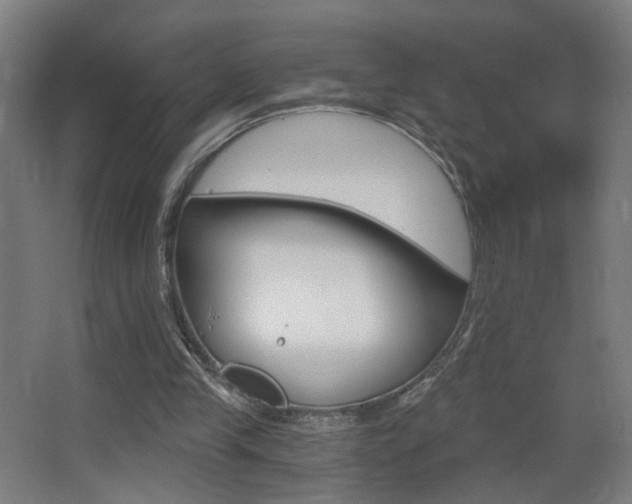 X0000068260245200604210922