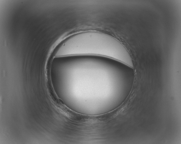 X0000068260246200604210922