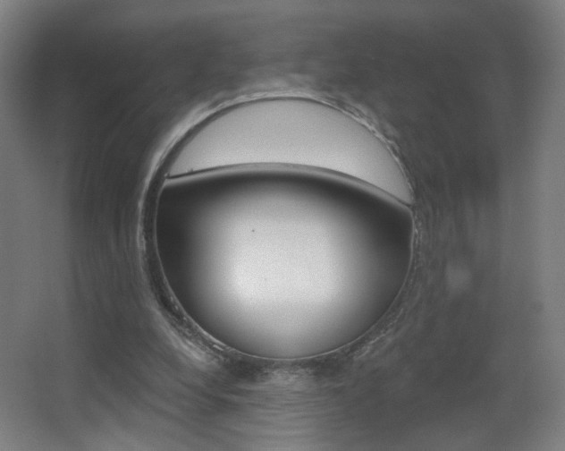 X0000068260248200604210922