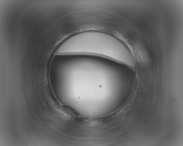 X0000068260249200604210922