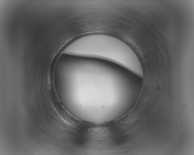 X0000068260251200604210922