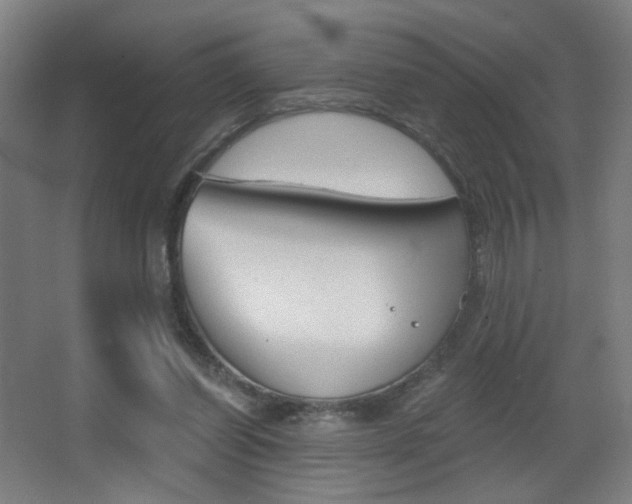 X0000068260254200604210922