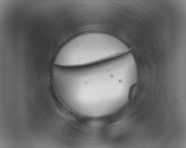 X0000068260255200604210922