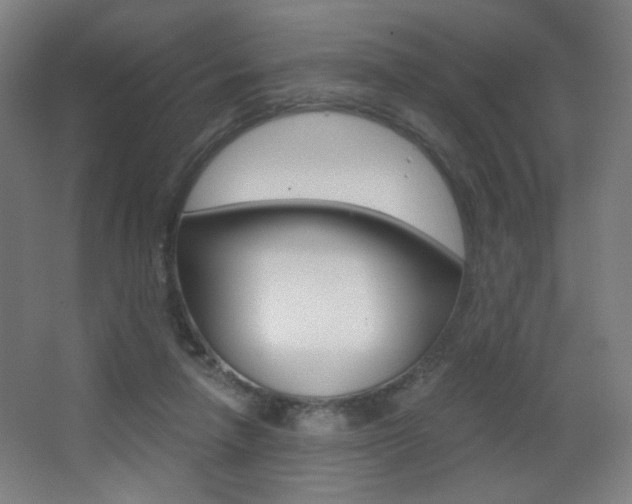 X0000068260258200604210922