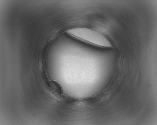 X0000068260259200604210922