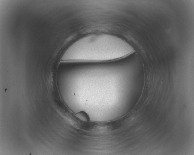 X0000068260260200604210922