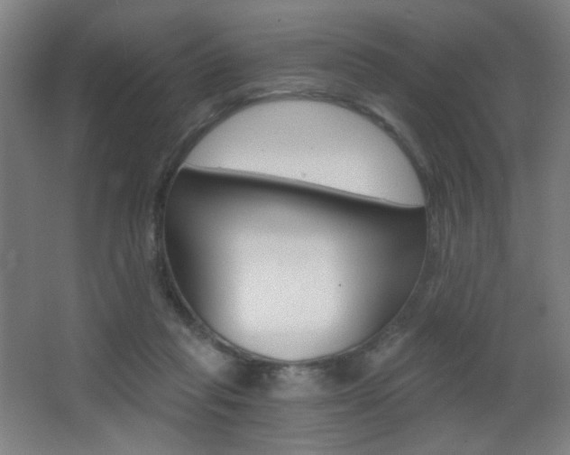 X0000068260261200604210922