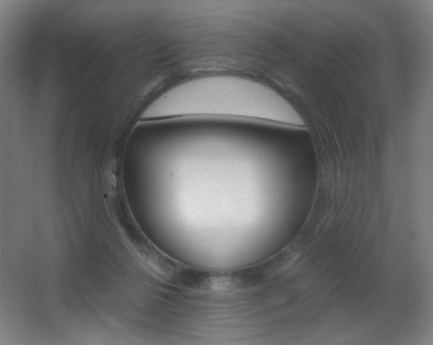 X0000068260264200604210922