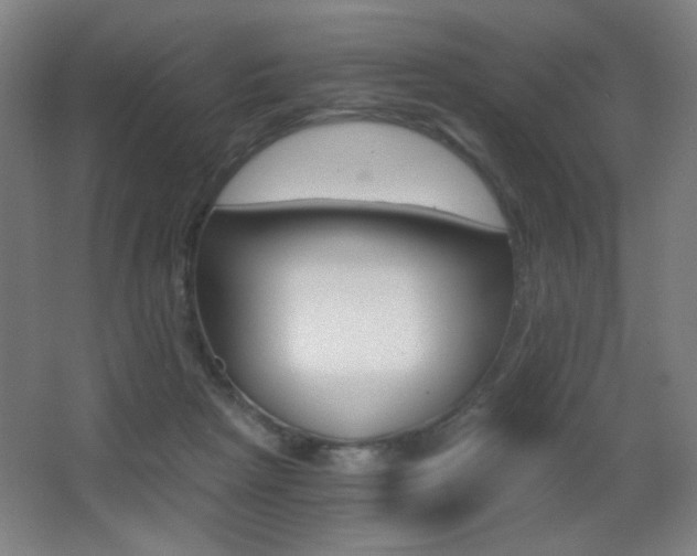 X0000068260265200604210922