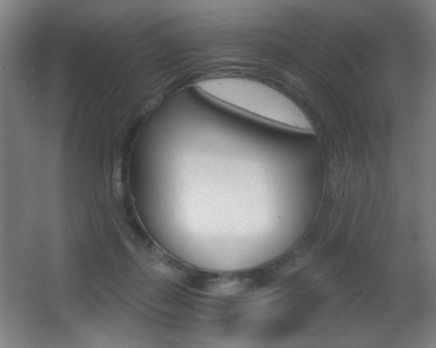 X0000068260267200604210922