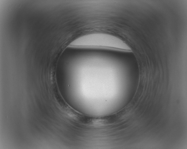 X0000068260268200604210922