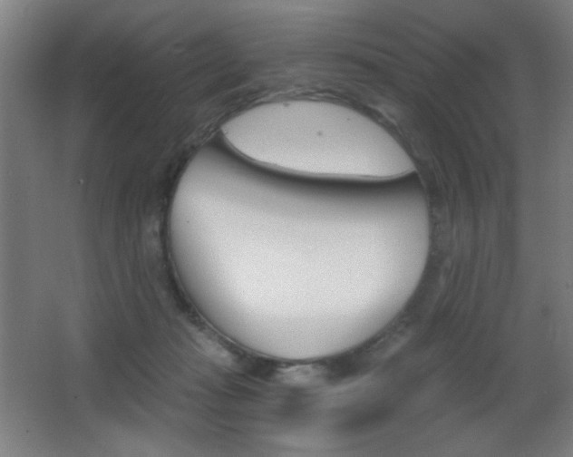 X0000068260269200604210922