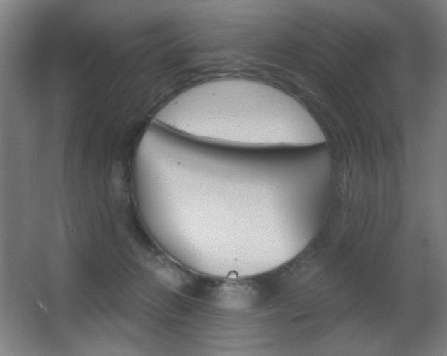 X0000068260270200604210922