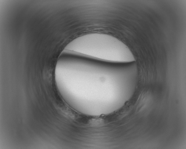 X0000068260271200604210922