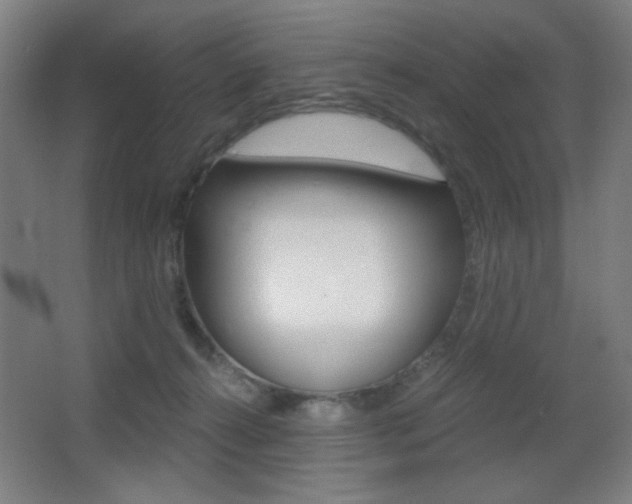 X0000068260272200604210922