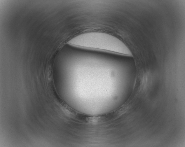 X0000068260273200604210922