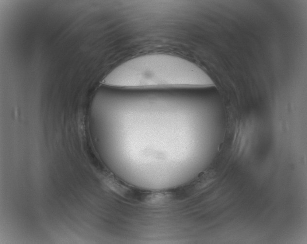 X0000068260274200604210922