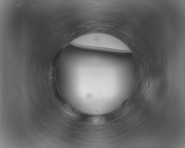 X0000068260275200604210922