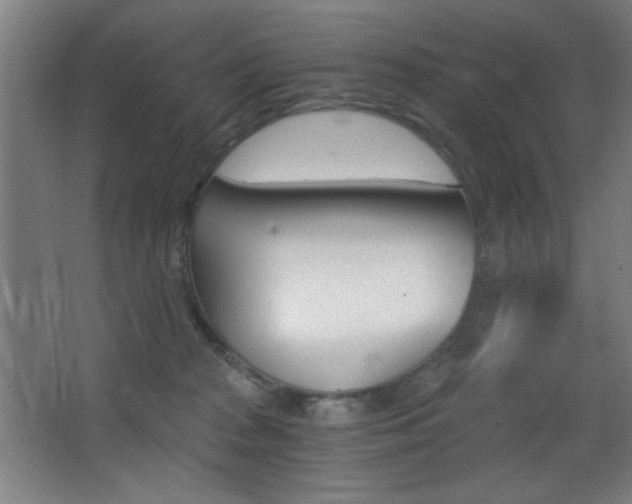 X0000068260277200604210922