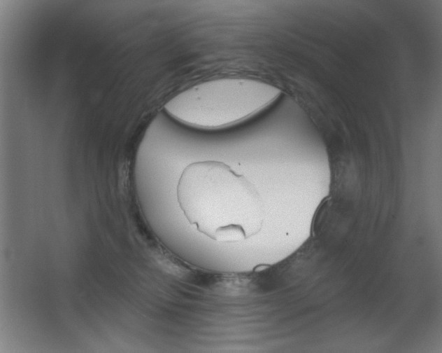 X0000068260278200604210922