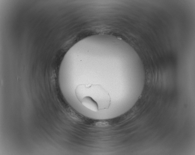 X0000068260279200604210922