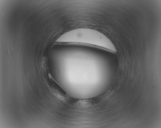 X0000068260280200604210922