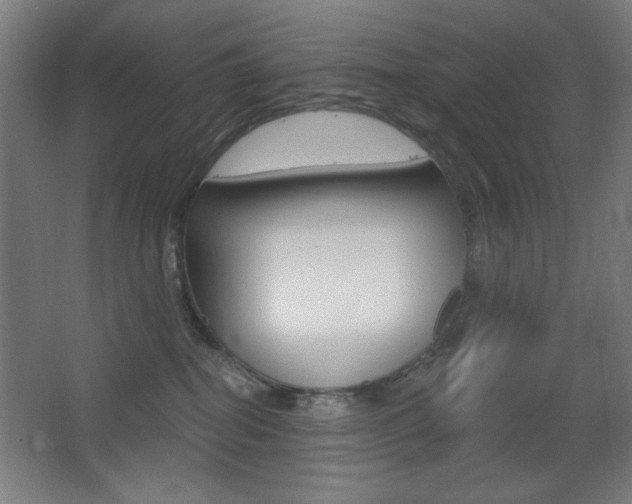 X0000068260282200604210922