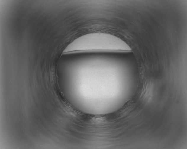 X0000068260283200604210922