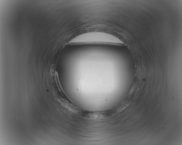 X0000068260284200604210922